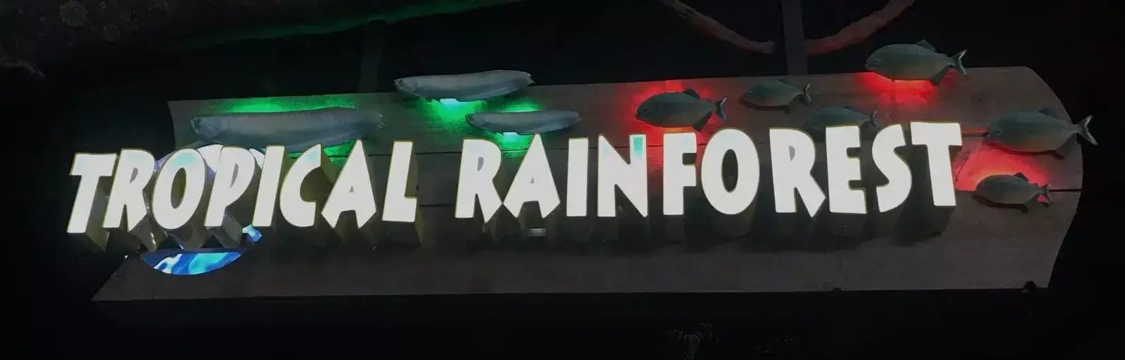 tropical-rainforest