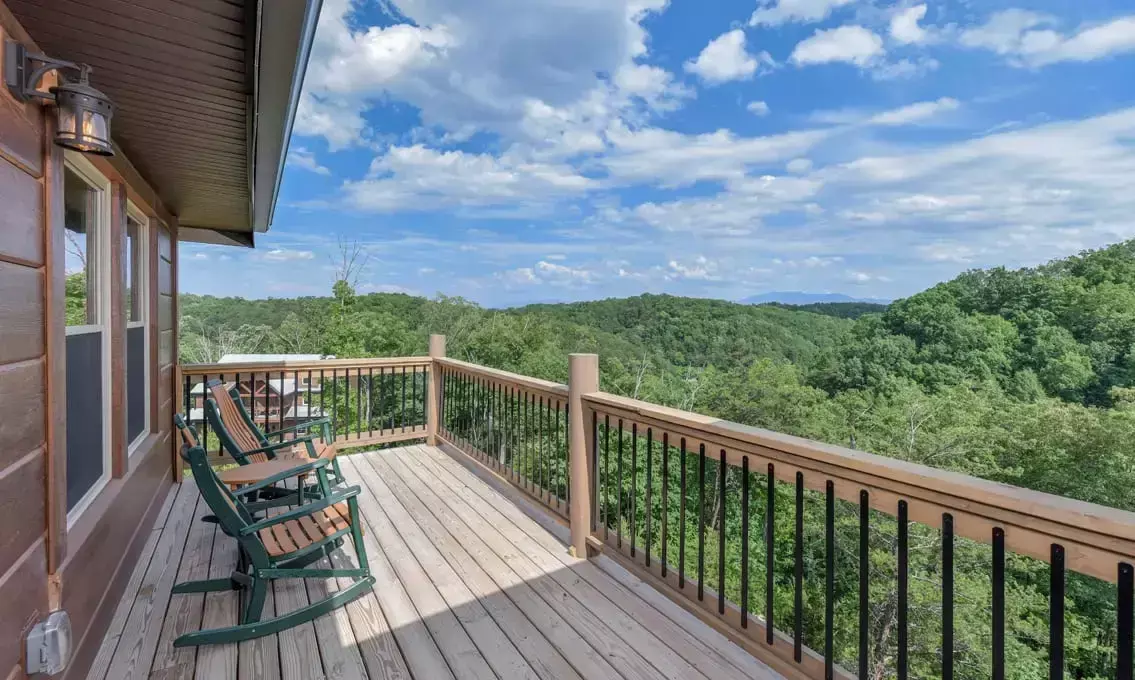 big-forest-lodge-view