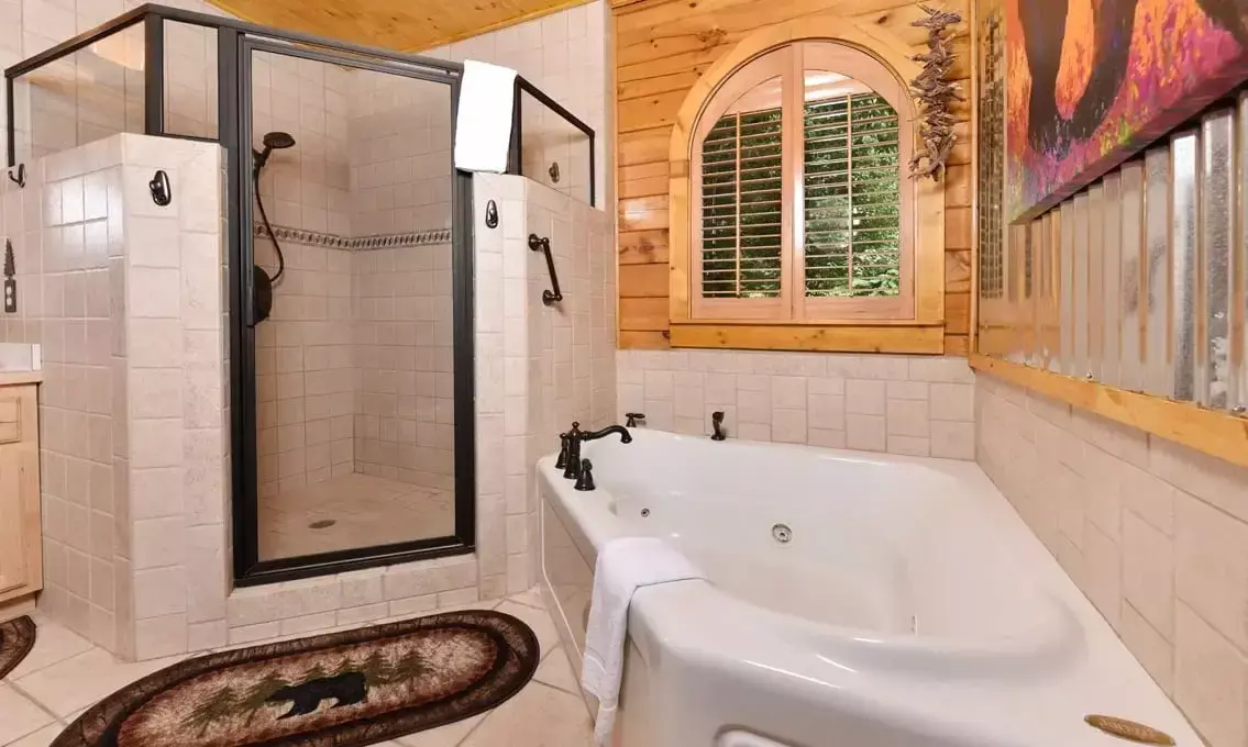 cadillac-creek-bathroom