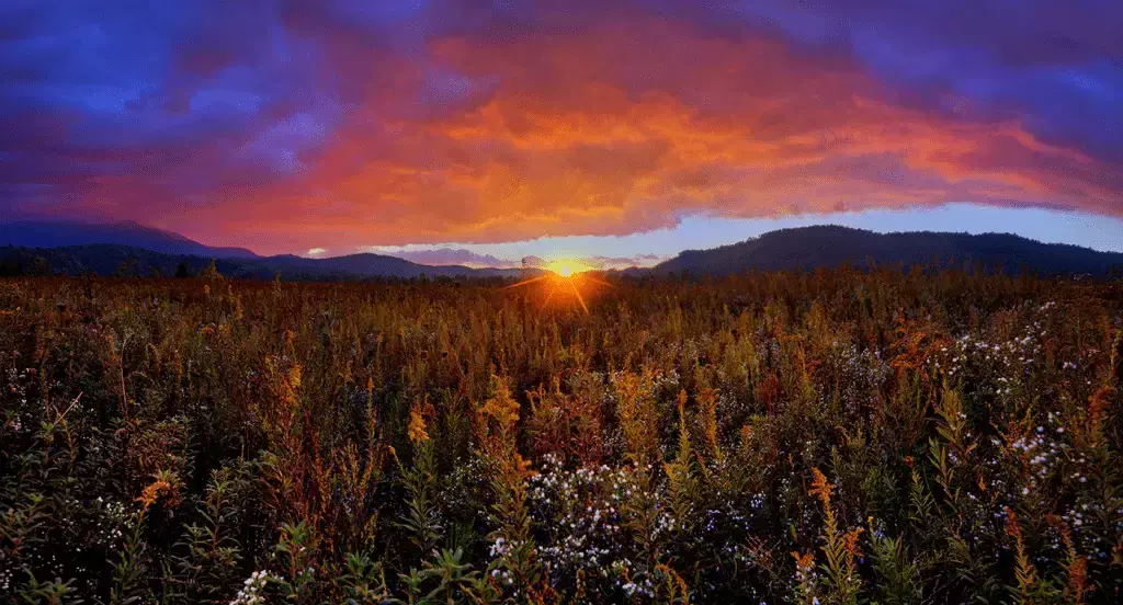 cades-cove-hiking