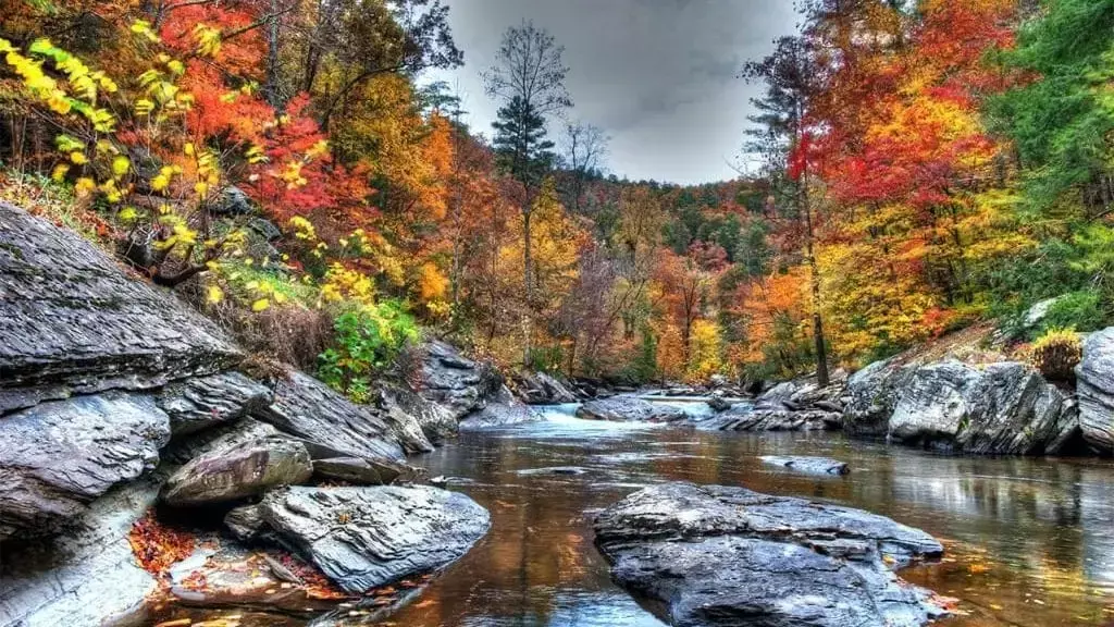bald-creek-fall