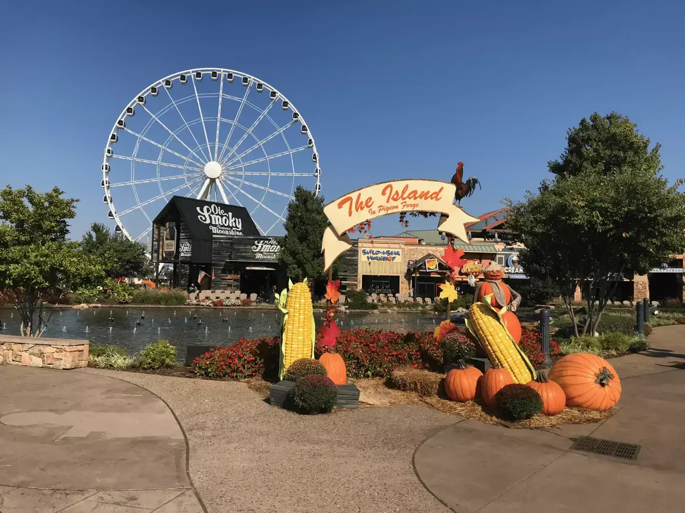 the-island-fall-decor